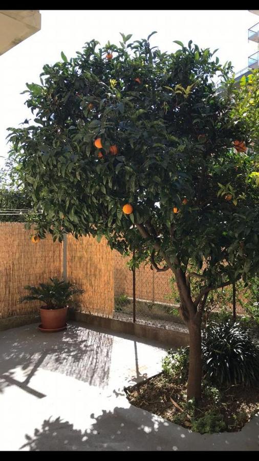 Grande Bilocale Con Giardino E Posto Auto Privato Comodo Al Mare Varazze Exteriér fotografie